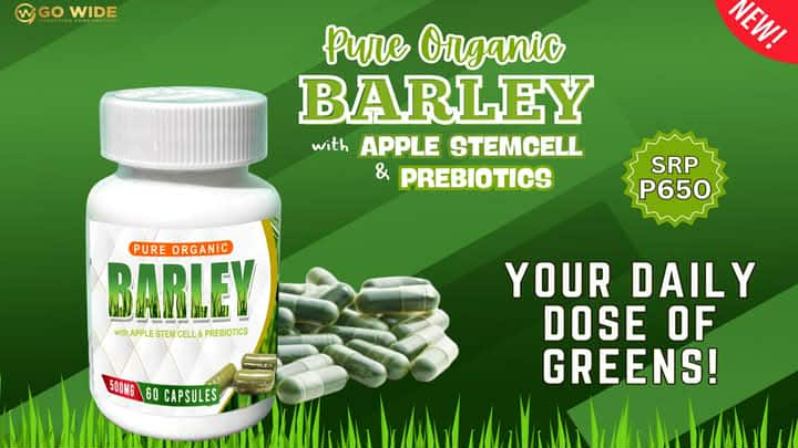 BARLEY 